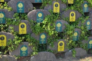 comrades wall of honour